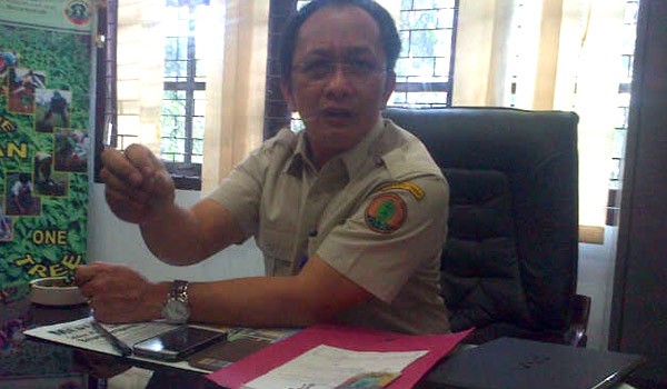 <b>Foto:</b> Kepala BPDAS Batanghari Taruna Jaya