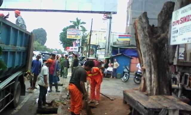 Petugas dari Dinas Kebersihan Kota Jambi membersihkan pohon yang tumbang di TAC