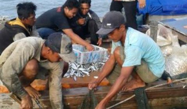 Operasi yang dilakukan DKP Tanjabtim