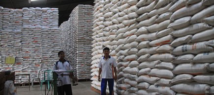 Stok beras di Bulog Jambi beberapa waktu lalu