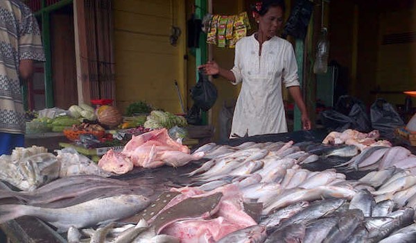 Pasokan ikan Tanjabtim kurang