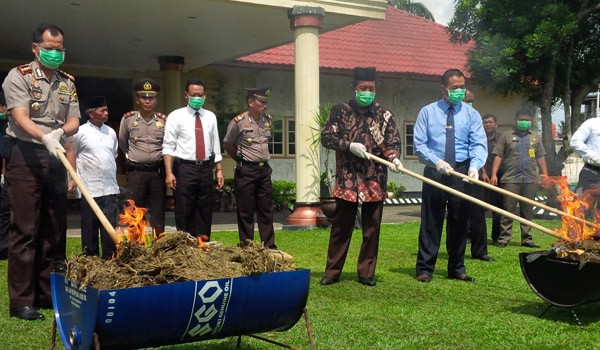 Kapolresta Jambi saat membakar ganja