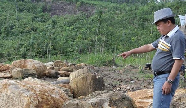 Bupati Merangin H Al Haris saat melihat langsung batu sungkai yang ditambang secara illegal.      