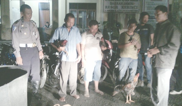 Tiga orang pelaku judi sabung ayam yang ditangkap polisi
