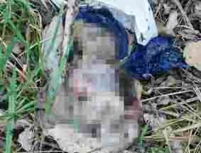 Jasad bayi malang yang ditemukan warga di Bungo