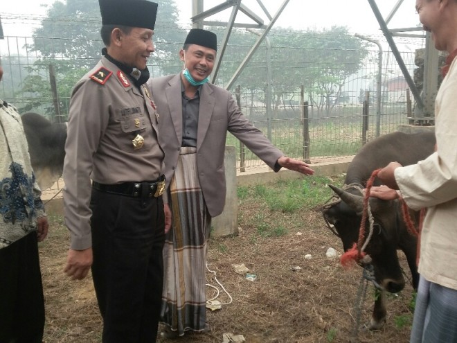 Kapolda Jambi berkurban 4 ekor sapi di Pulau Pandan