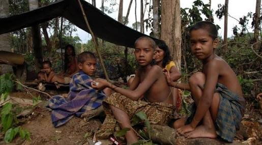 Orang Rimba atau Suku Anak Dalam.