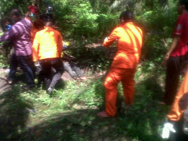 Tim dari Basarnas saat melakukan evakuasi mayat yang ditemukan di kebun sawit milik warga, Minggu (6/12) sekitar pukul 11.00 WIB di Pamenang Barat