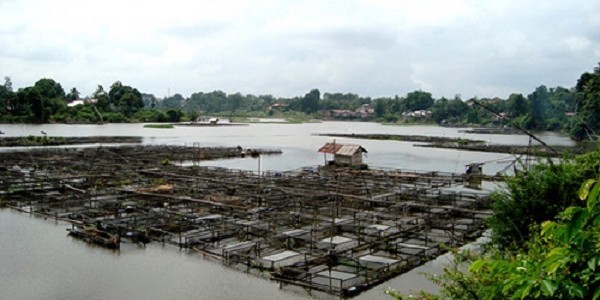 Danau Sipin