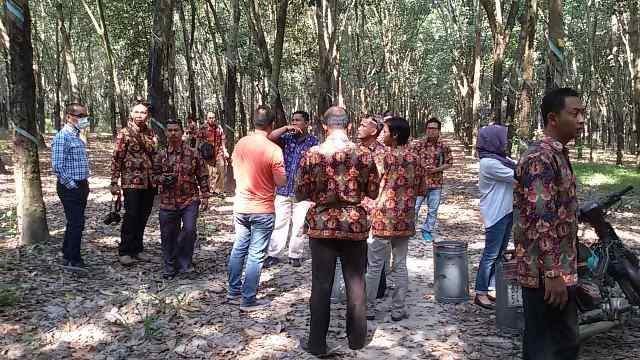 Rombongan Kades Favorit Jambi Ekspres berkunjung ke salah satu perkebunan karet pemerintah di Vietnam (9/1)
