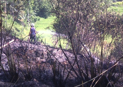 Petugas saat memadamkan api di lahan yang berlokasi di belakang Kantor Bupati Kerinci, Minggu (14/2) sore.