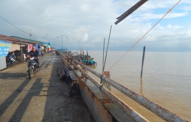 Suasana alam di Kampung Laut yang tampak indah dan bisa menjadi lokasi wisata bagi warga Jambi