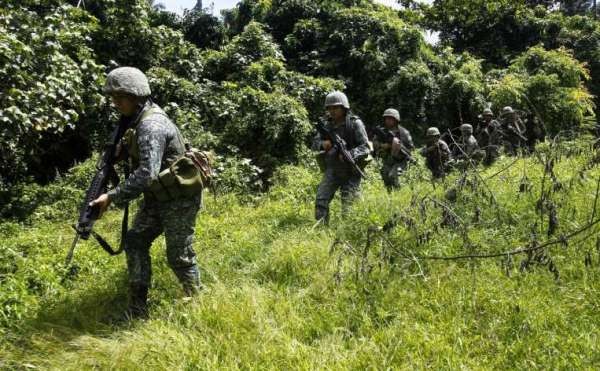 Tentara di hutan AFP