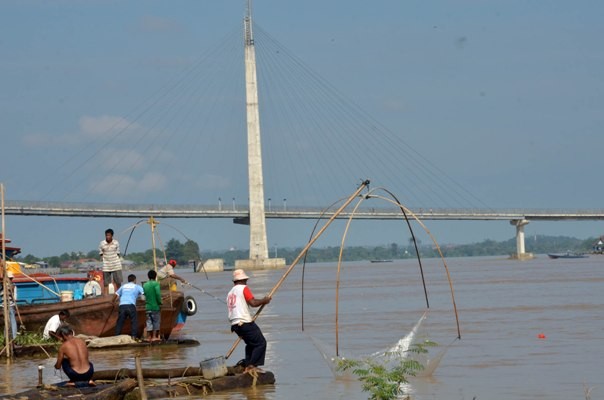 Warga saat menanggul ikan di Sungai Batanghari.