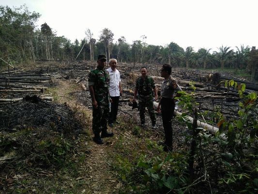 Petugas saat melakukan pengecekan di lahan yang terbakar.
