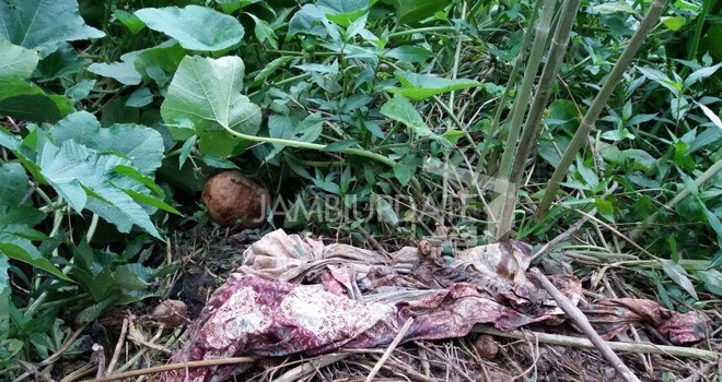 Tengkorak korban Neti yang ditemukan beberapa waktu lalu