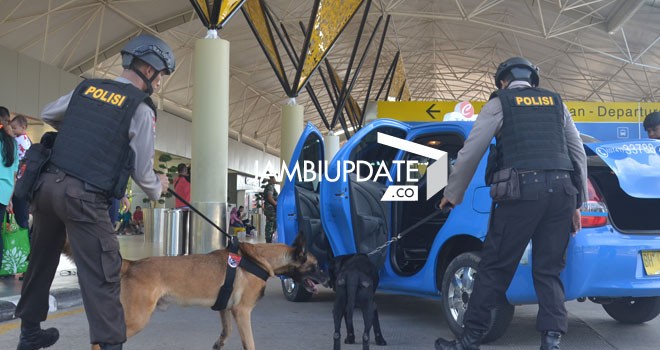 Anjing pelacak yang melakukan pemeriksaan barang pemudik di bandara STS Jambi