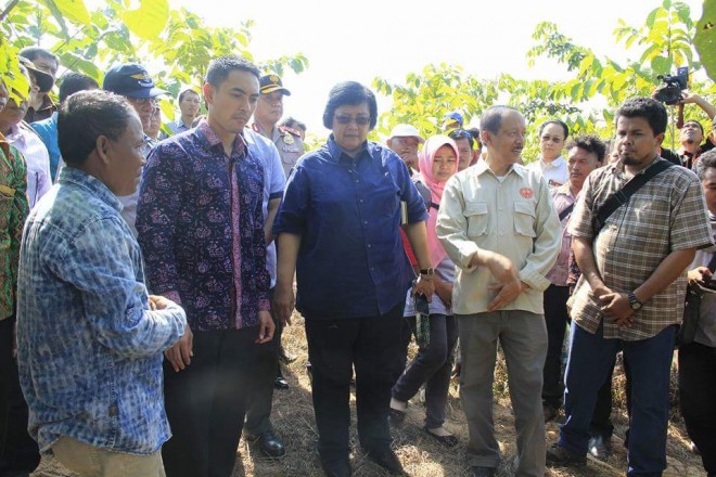 Menteri LHK Siti Nurbaya bersama Gubernur Jambi dan rombongan saat berada di HTR di Desa Hajran Sabtu (13/8).