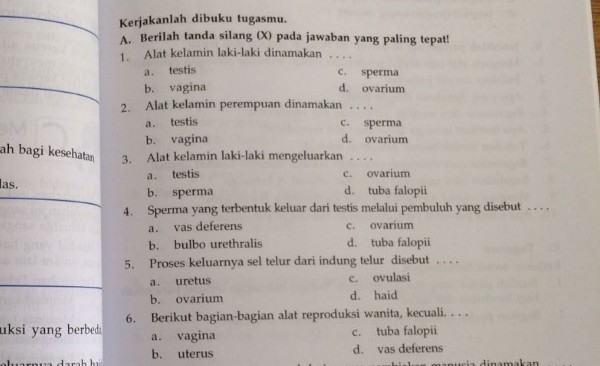 Buku Pendidikan Jasmani tersebut beredar pada murid kelas V SD di Pasaman. Foto: THORI/PADANG EKSPRES/JPNN.com