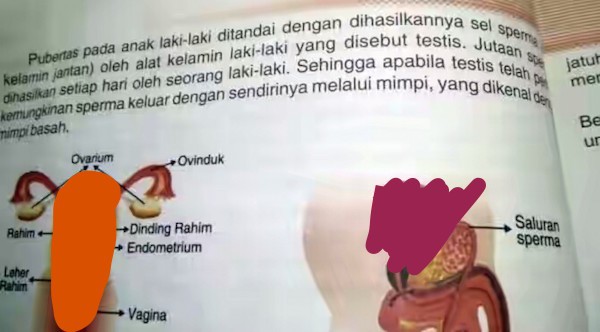 Buku Ilmu Pengetahuan Alam/IPA ini beredar pada murid kelas VI SD di Pasaman, Sumbar. Foto: THORI/PADANG EKSPRES/JPNN.com