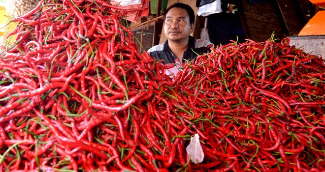  Harga  Cabai di  Pasar Tradisional Jambi  Masih Pedas