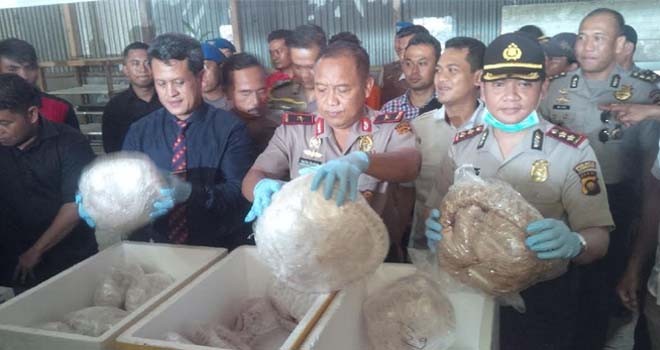 Kapolda Jambi, Brigjen Pol Yazid Fanani, mendatangi lokasi penggrebekan gudang trenggiling.
