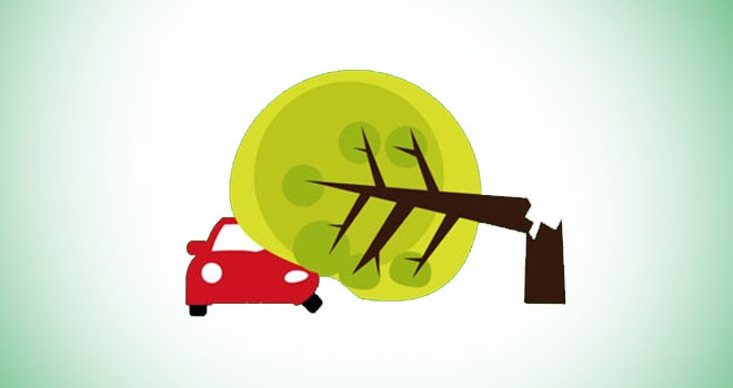 Ilustrasi. <i> Foto : Net </i>