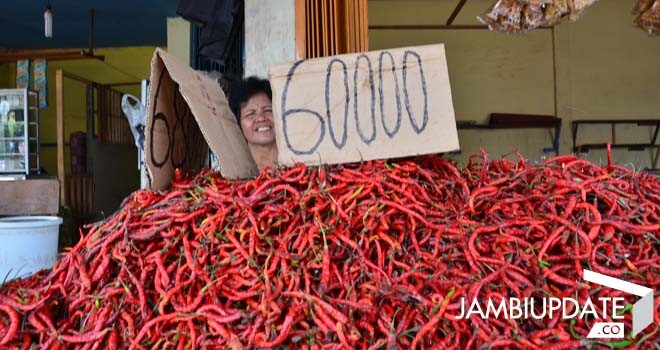 Terlihat warga sedang menjual cabe di Pasar Tradisional Kota Jambi dengan harga yang mencapai Rp. 100 ribu/kg.