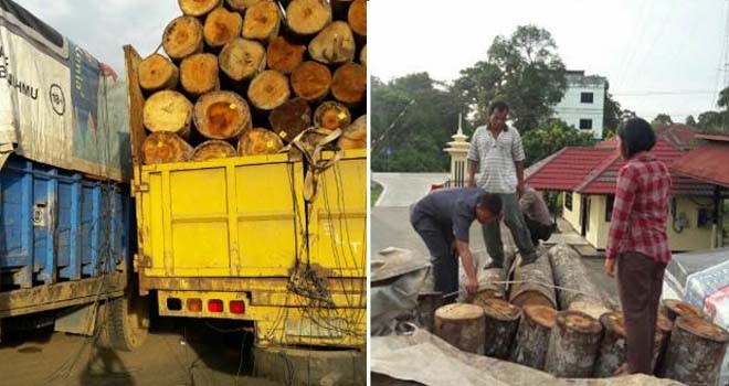 Anggota Satreskrim Polres Tebo saat berhasil mengamankan dua mobil fuso yang mengangkut kayu ilegal.