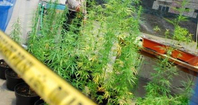 Ilustrasi. Foto : Net