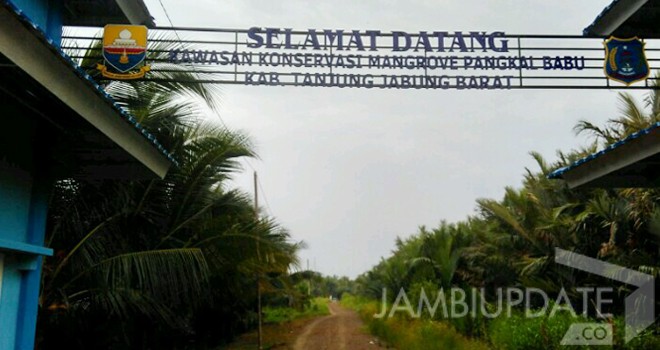 Lokasi Menuju Pangkal Babu, Wisata Hutan mangrove.