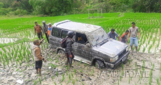 Mobil kijang Super dengan nomor BH 1775 FJ berwarna Silver nyungsep ke sawah warga di Siulak Deras Mudik.