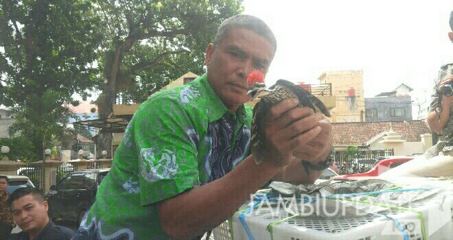 Burung berkicau yang berhasil diamankan Polda Jambi dan BKSDA.