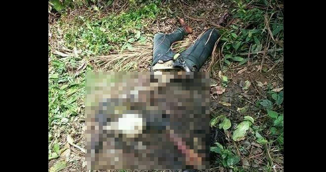 Mayat yang sudah menjadi tengkorak ditemukan warga di Desa Sekamis, CNG, Sarolangun.