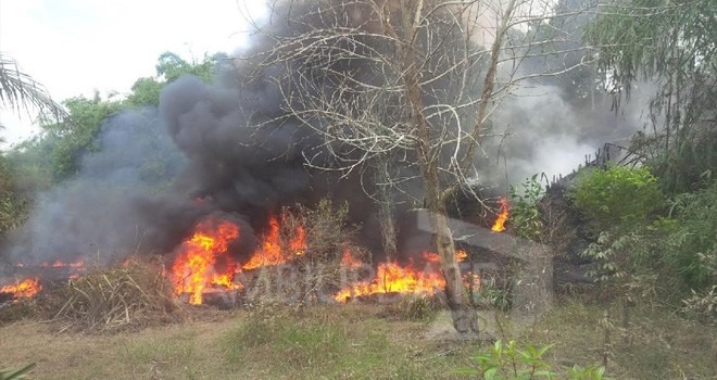 Kebakaran yang terjadi di Gudang penyimpanan minyak, hingga api mulai merembet ke sejumlah batang sawit.