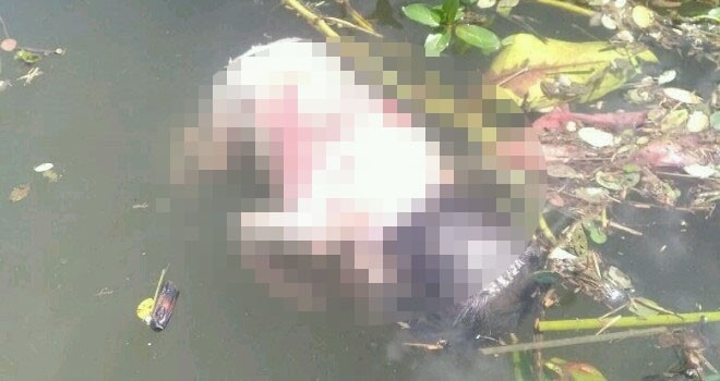 Bayu ditemukan warga mengapung di Buluran.