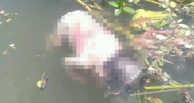 Bayi yang ditemukan warga di buluran