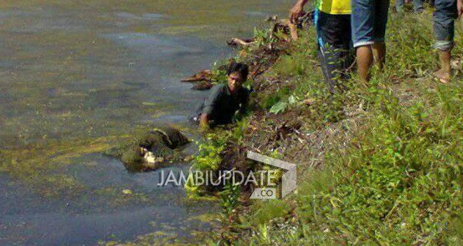 Naga (65) saat ditemukan mengapung di kanal 4 WKS Kabupaten Tanjung Jabung Timur.
