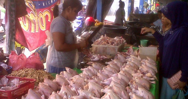 Pedagang ayam potong saat melayani pembeli.