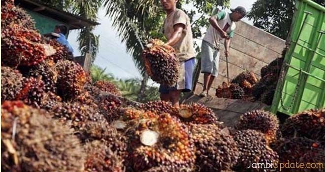 Ilustrasi. Foto: Dok. Jambiupdate