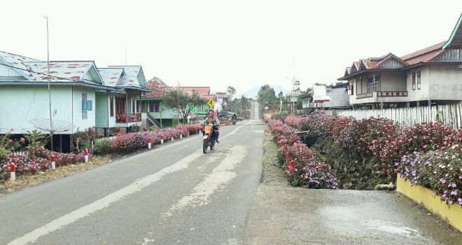 Seribu bunga di Desa Renah Alai, Jangkat.