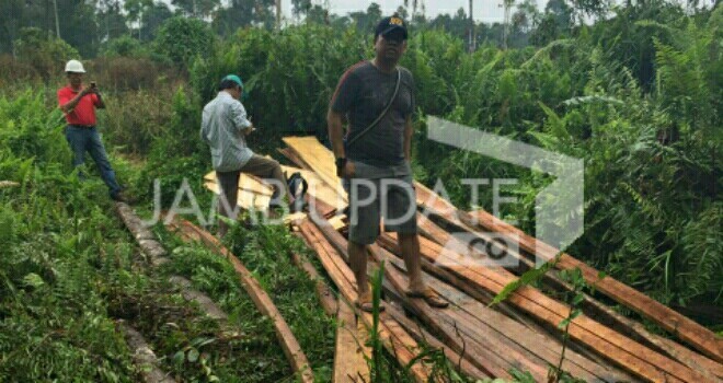 Polisi saat mendatangi TKP perambahan hutan.