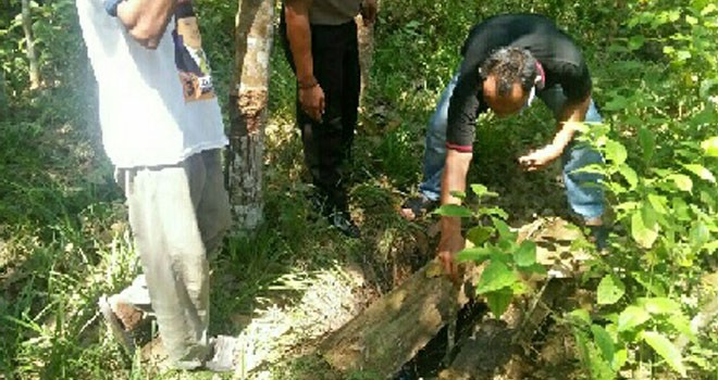 Bocah 10 tahun tewas di dalam sumur sedalam 4 meter di kebun karet Desa Tanjung Rejo, Kecamatan Margo Tabir, Kabupaten Merangin.