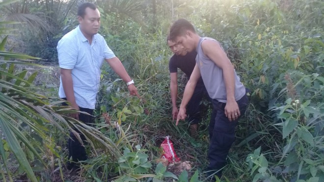 Warga Pijona Temukan Lima Paket Besar Ganja Kering.