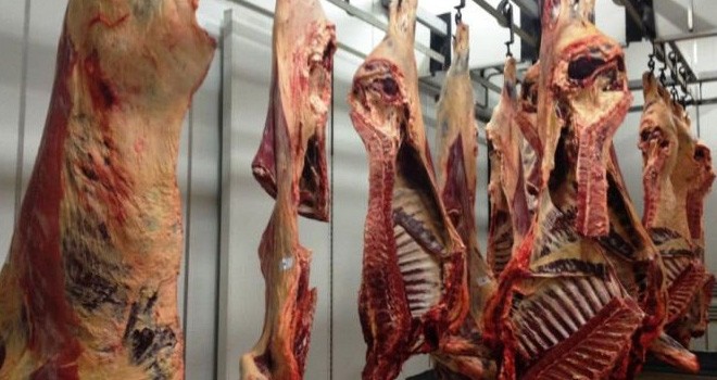 Ilustrasi. Foto : Pojoksatu