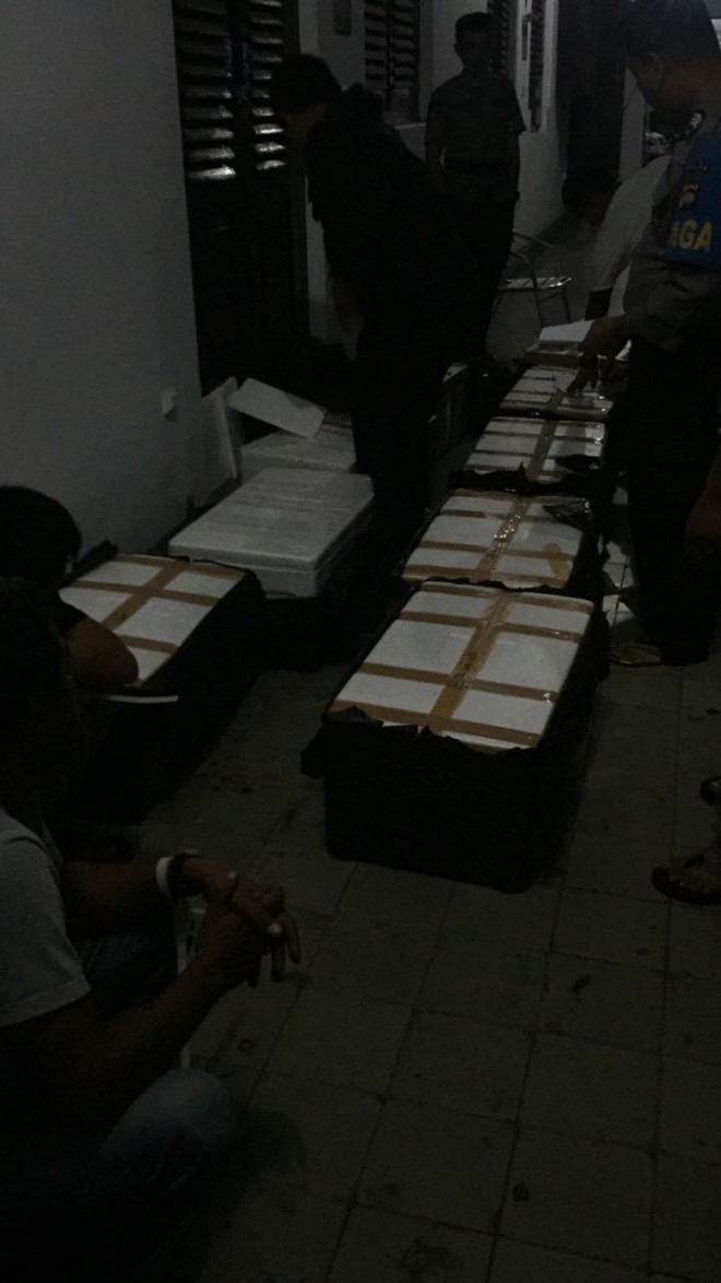 Baby Lobster yang diamankan anggota Ditpolair Polda Jambi.