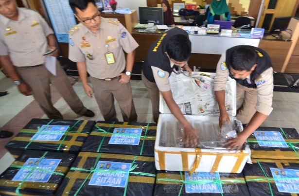 Baby Lobster yang diamankan anggota Ditpolair Polda Jambi.