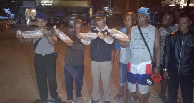 38.325 Benih Lobster Jambi Dilepaskan di Pantai Barat Pangandaran Jabar.