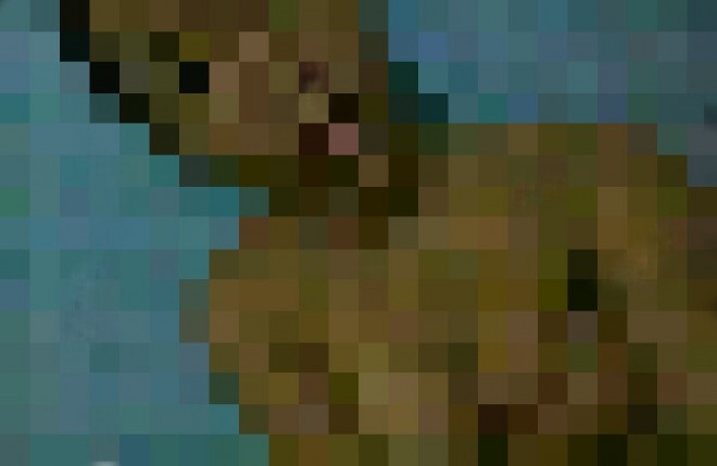 Foto bugil yang beredar di Medsos