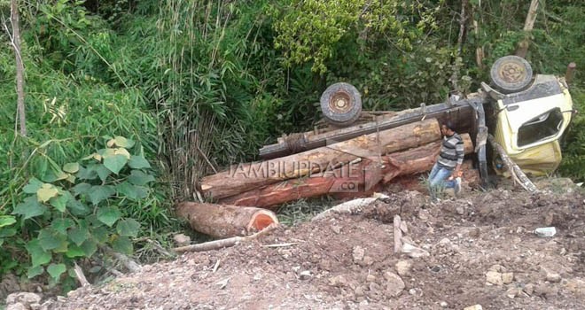 Truk Pengakut Kayu Masuk Jurang.